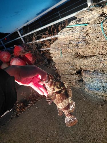 船越湾（岩手）