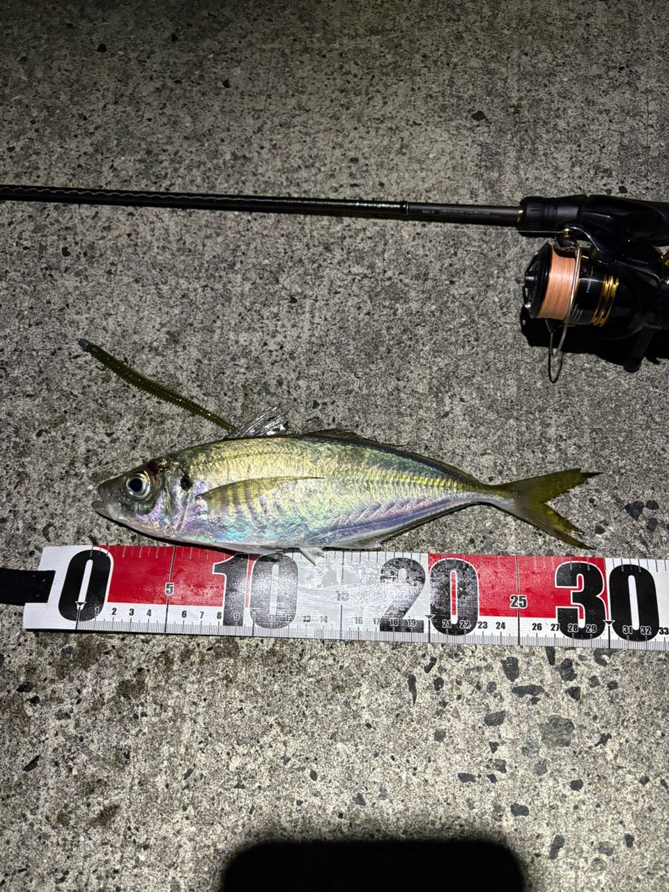 SHIMANO 22ソアレ SS アジング S64L-Sの最安値・インプレ・釣果 | 本音