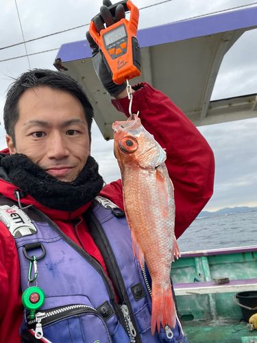 アカムツの釣果