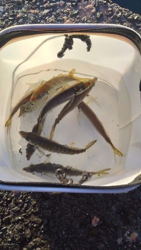 野見潮ばかり公園