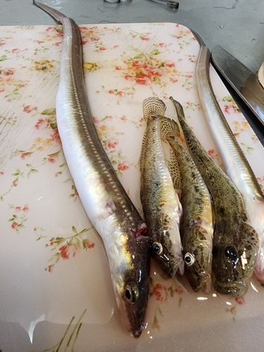 セントレア常滑港前島