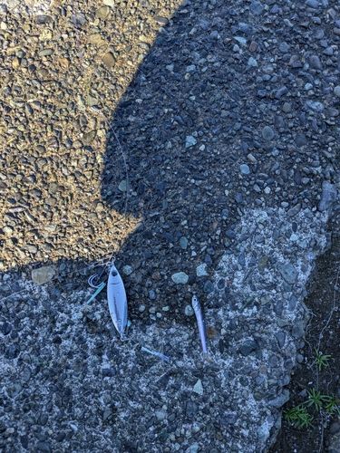 内浦湾（沼津）