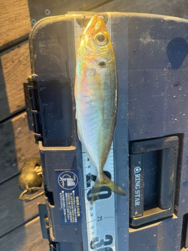 小名浜港アクアマリンふくしま周辺