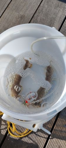 仙台港中央公園