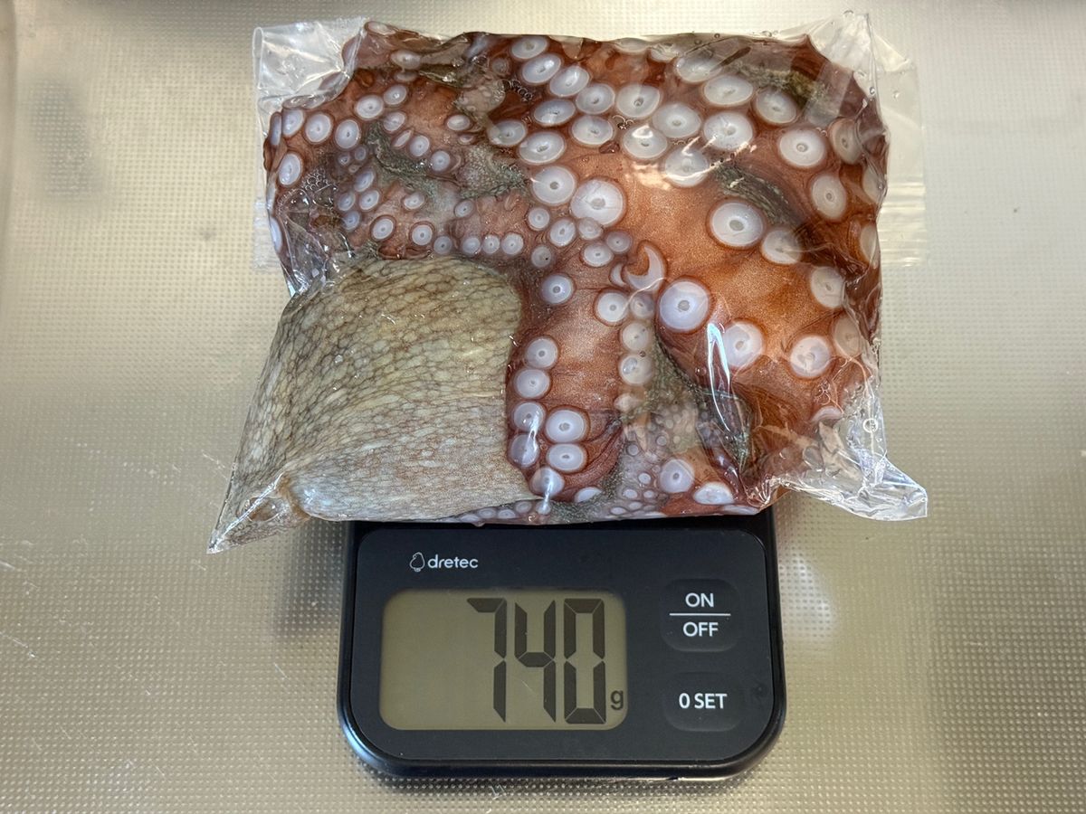 さいこさんの釣果 2枚目の画像