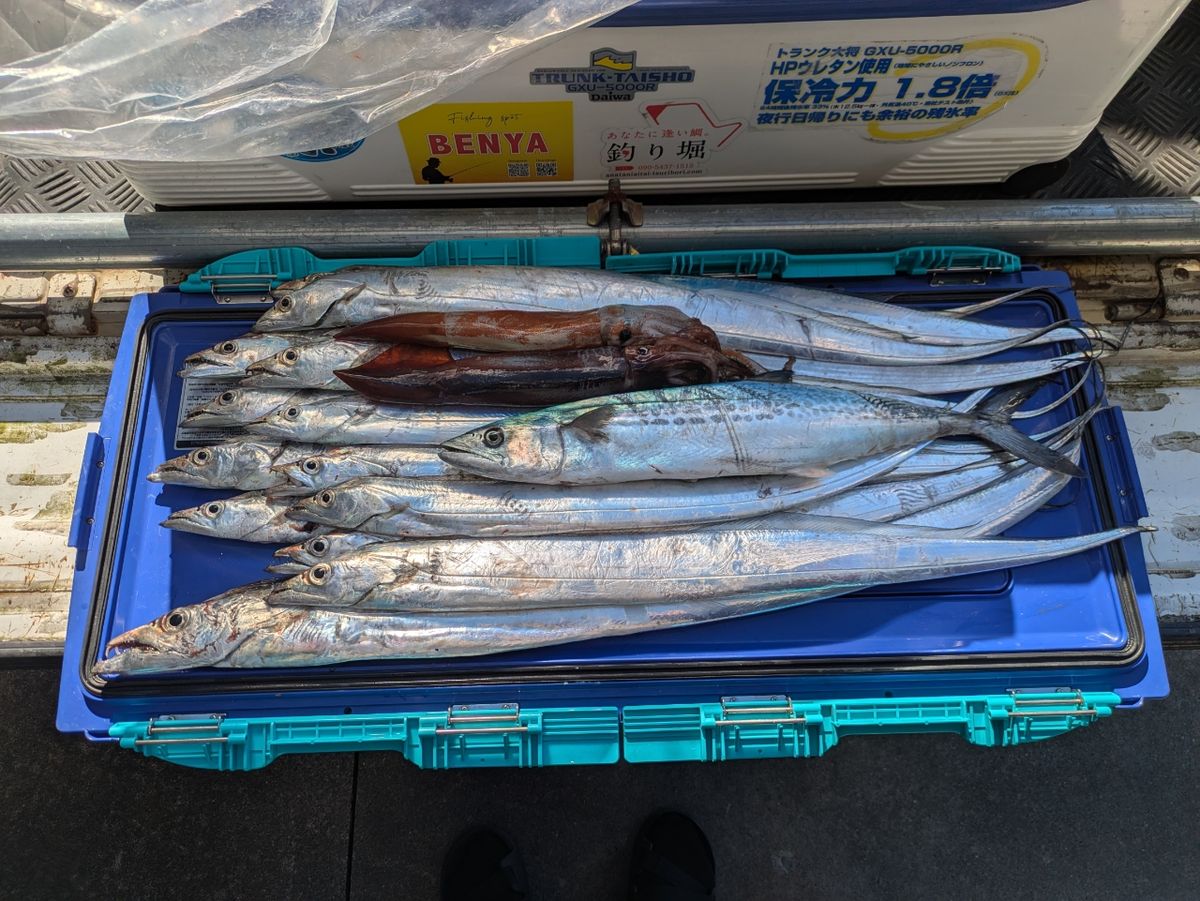 釣りおいちゃん2さんの釣果 1枚目の画像