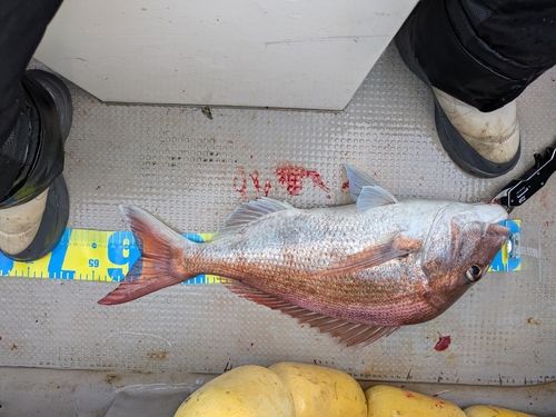 周防大島（屋代島）