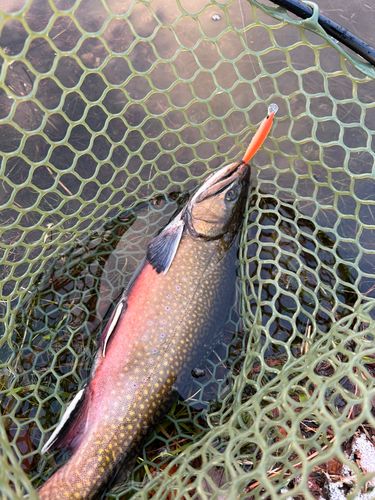 那須白河フォレストスプリングス