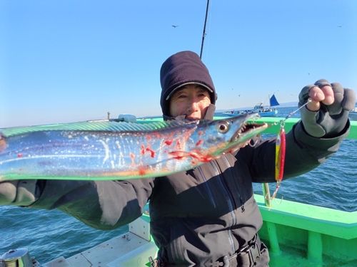 タチウオの釣果