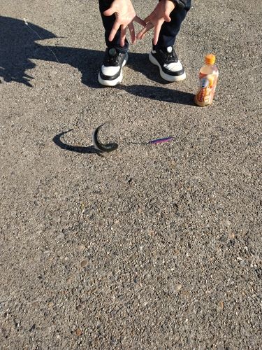 碧南海釣り公園