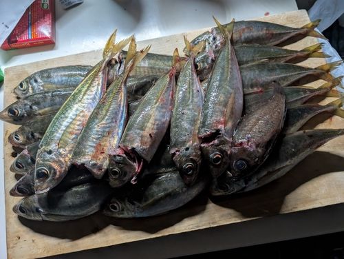 中央埠頭（博多湾）