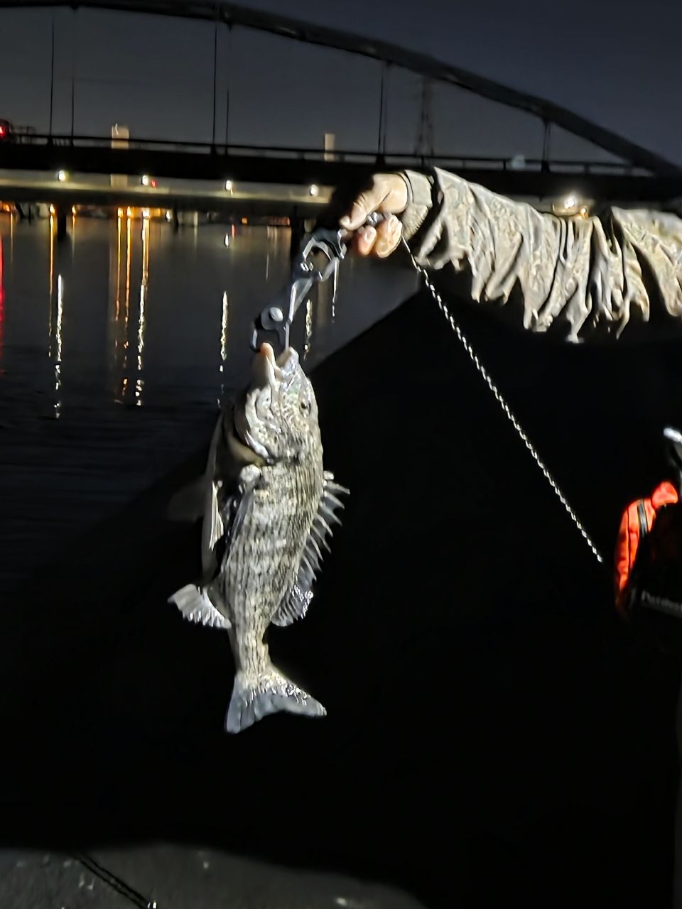 アピア ロングエクスプレス アピアスタッフブログ】 LOVE ROCKFISH？ 続Brute'HR情報 中嶋康文