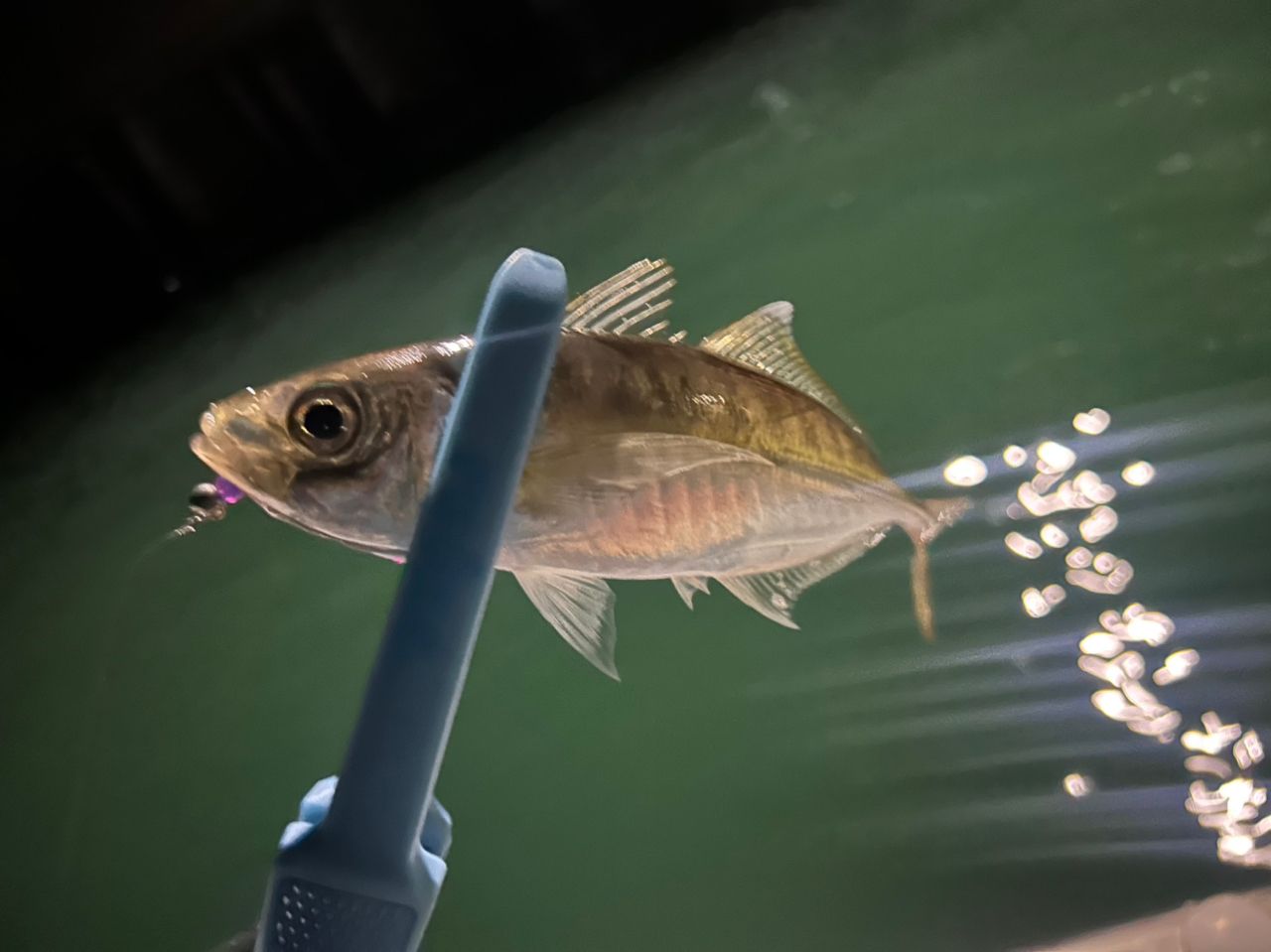 MajorCraft 鯵道 5G AD5-S582L/AJIの最安値・インプレ・釣果 | 本音の