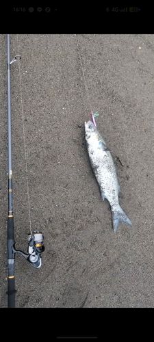 辻堂海浜公園前