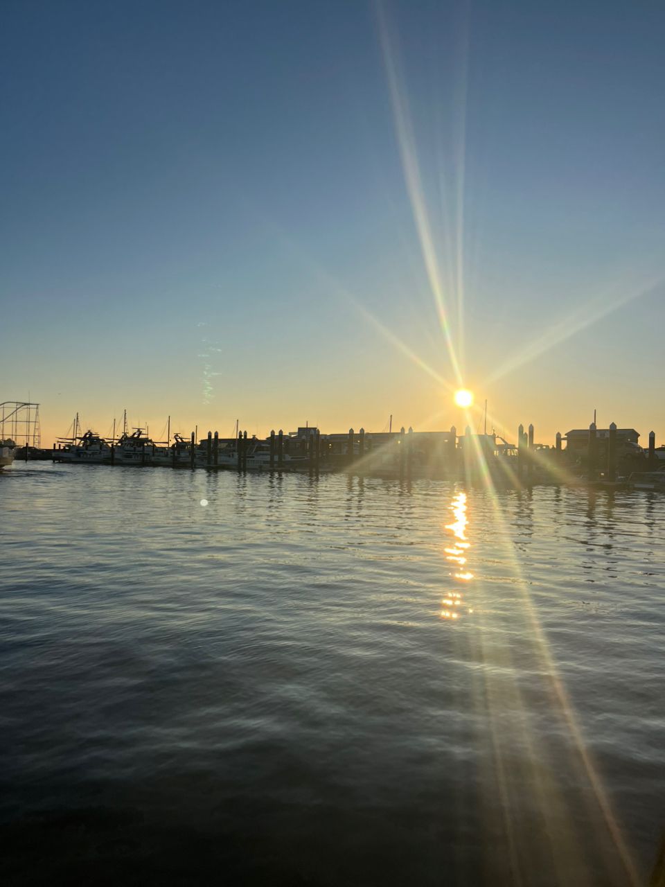 Guest62908869さんの釣果 1枚目の画像