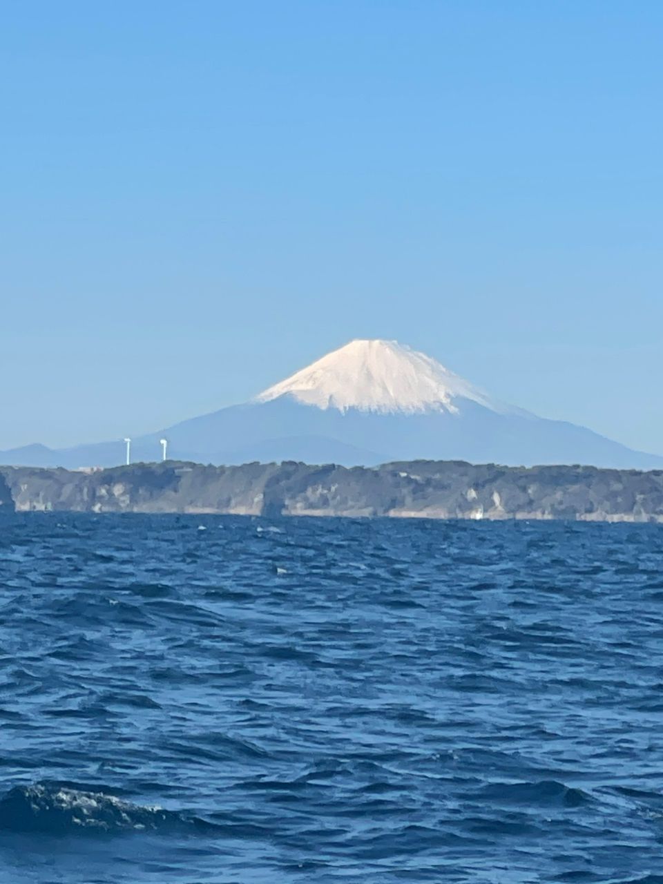 金沢八景のつり吉さんの釣果 2枚目の画像
