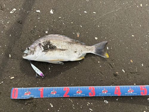 東京湾（富津〜金谷）