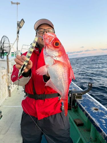 キンメダイの釣果