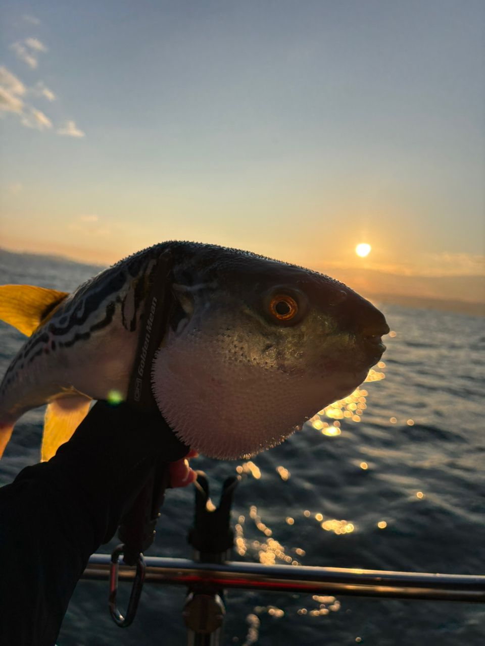 hirojinさんの釣果 1枚目の画像