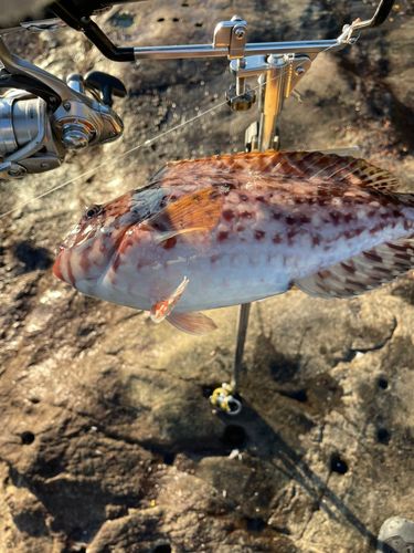 葉山釣り具センター付近