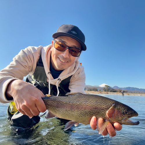 ニジマスの釣果