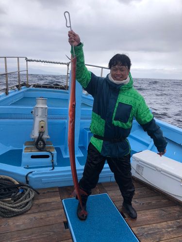 アカヤガラの釣果