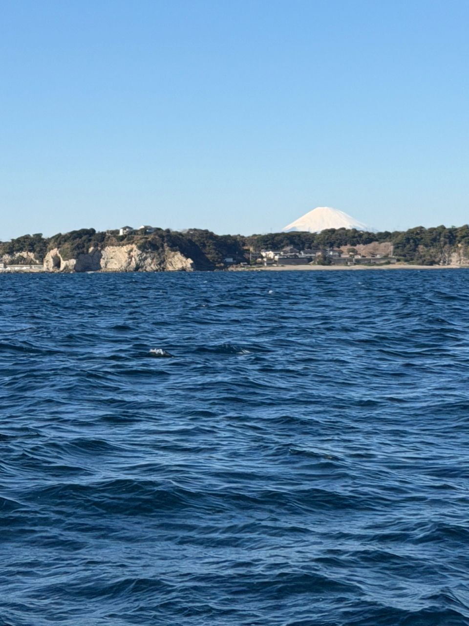 オトコマエさんの釣果 2枚目の画像