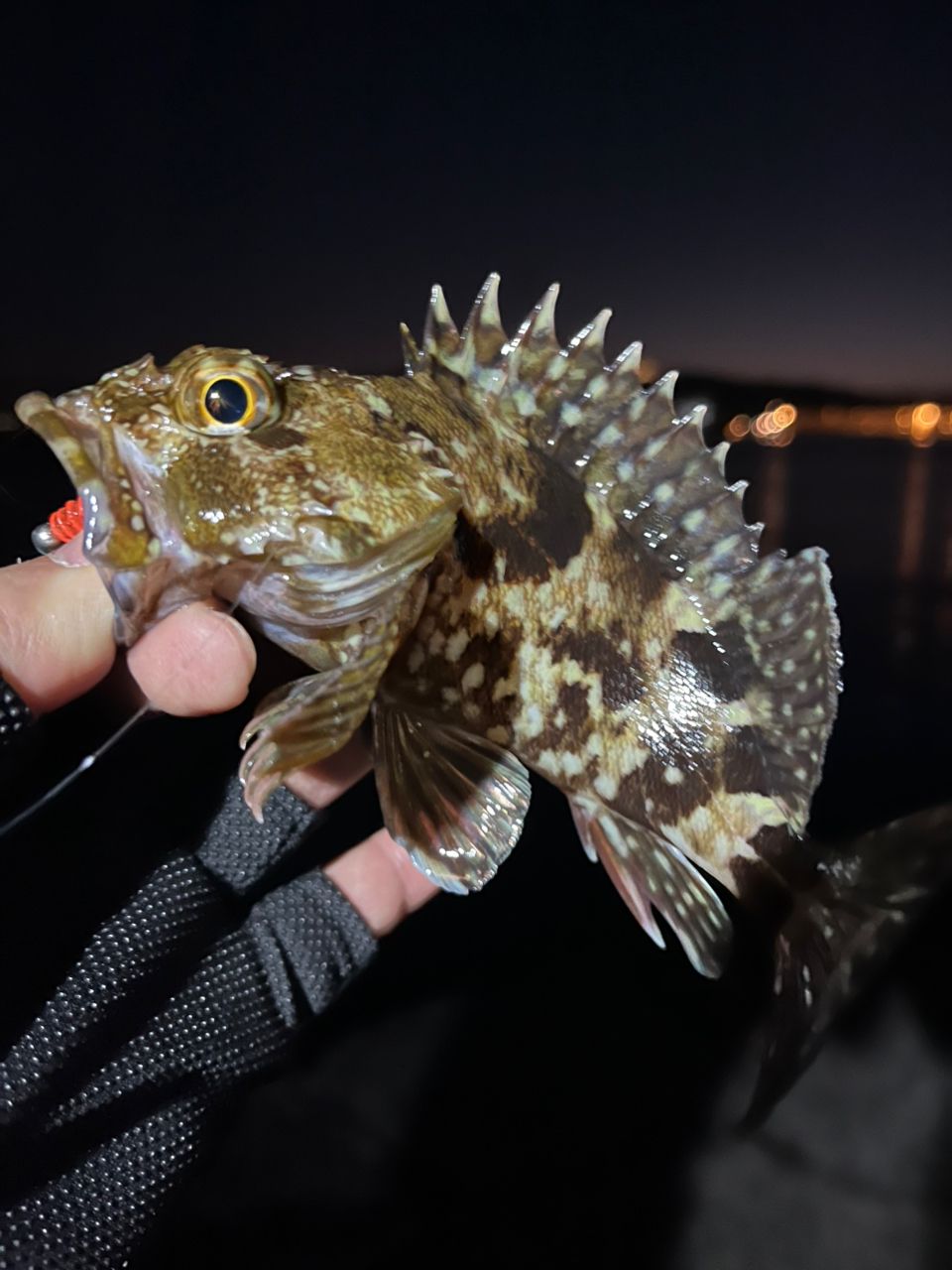 がまかつ LUXE 宵姫 華弐　S68FL-solid　美品 Gamakatsu ラグゼ 宵姫 華 弍 S68FL-solidの最安値・インプレ・釣果