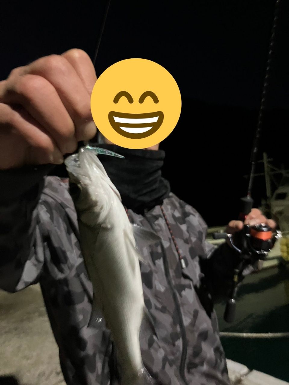 セイゴ（タイリクスズキ）