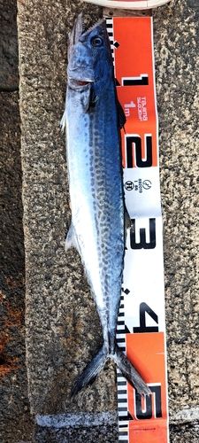 鞠山海遊パーク