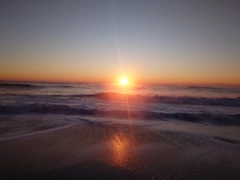 アカカマスの釣果