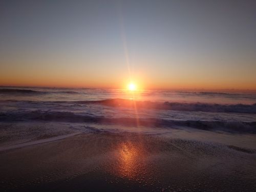 アカカマスの釣果