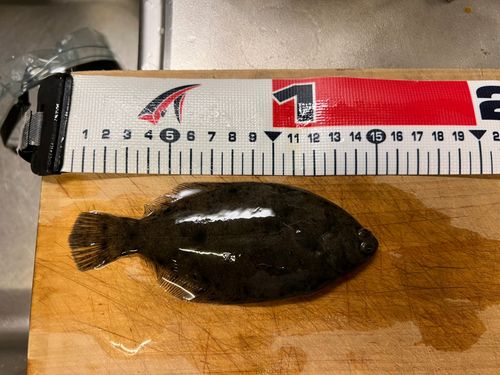 本牧海づり施設