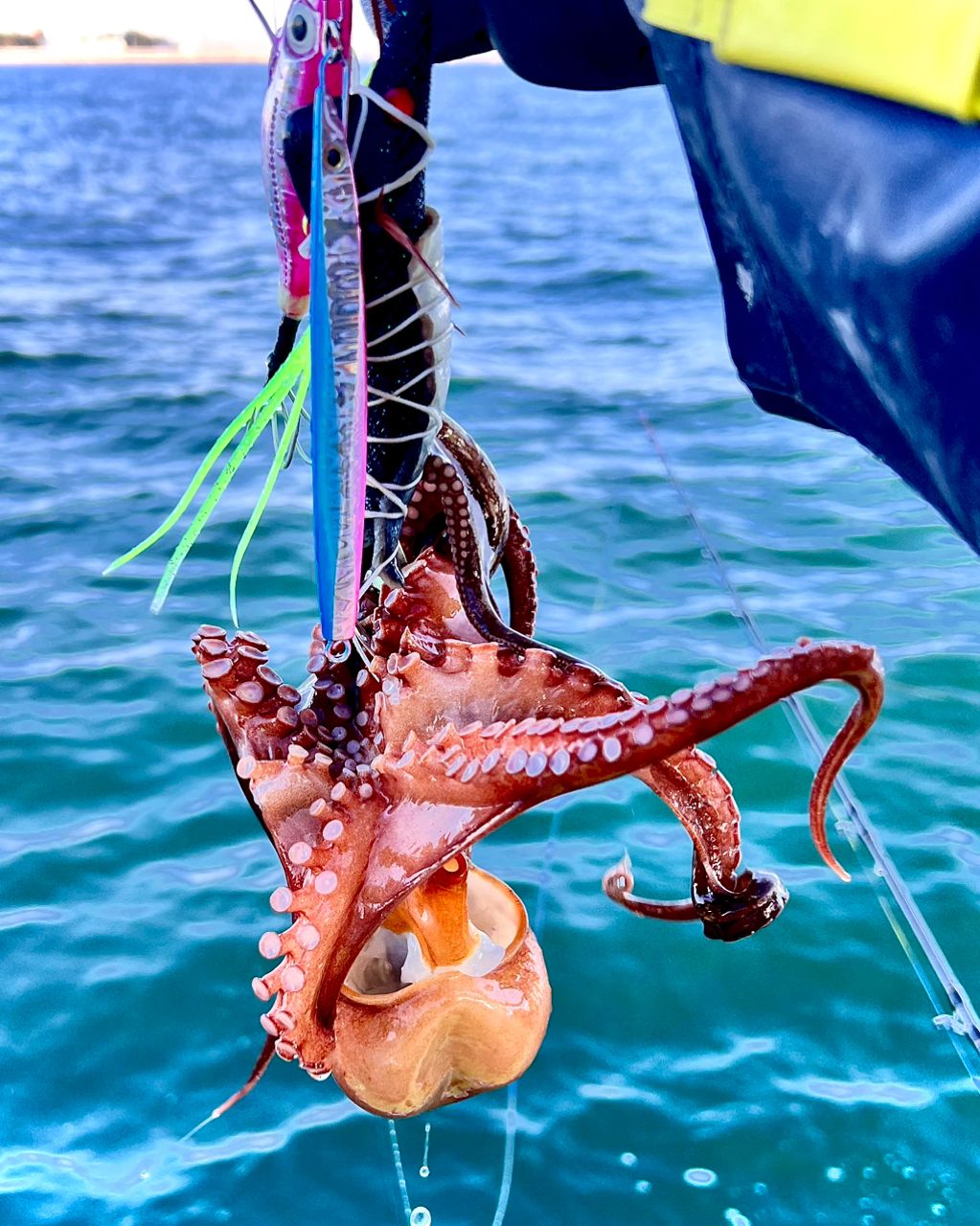 S46_トシさんの釣果 1枚目の画像