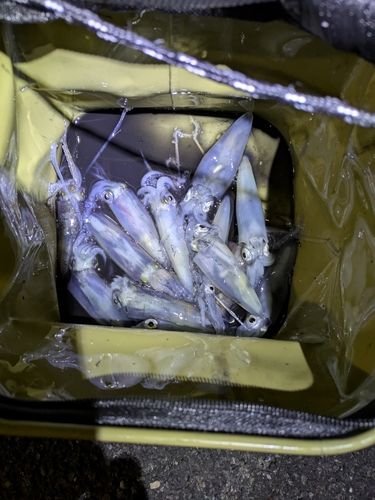 千葉港中央埠頭