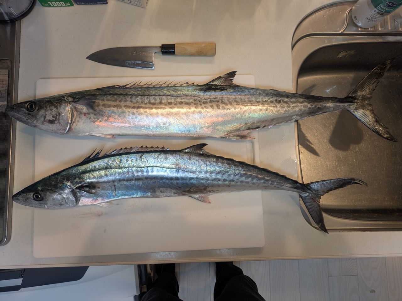 SHIMANO オシアジガー 2016年モデルの最安値・インプレ・釣果 | 本音の