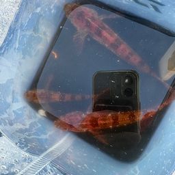 アサヒアナハゼ