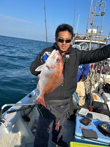 マダイの釣果