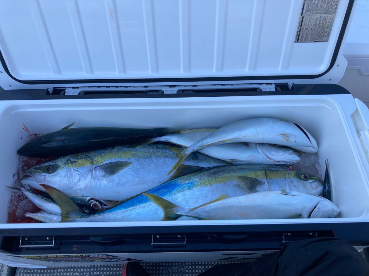 jerkman330さんの釣果 1枚目の画像