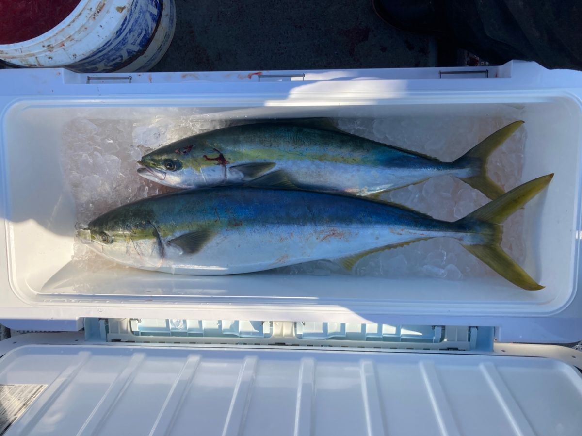 jerkman330さんの釣果 3枚目の画像