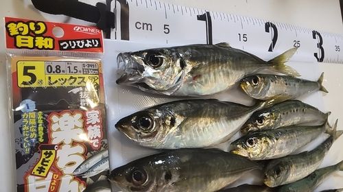 小名浜港アクアマリンふくしま周辺