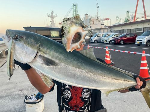 カスミアジの釣果