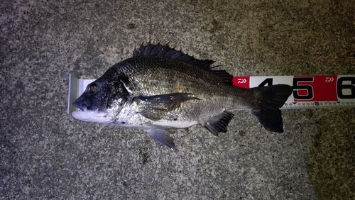 碧南海釣り公園