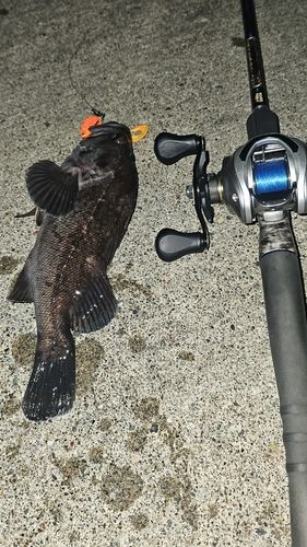 キラキラ公園（苫小牧西港）