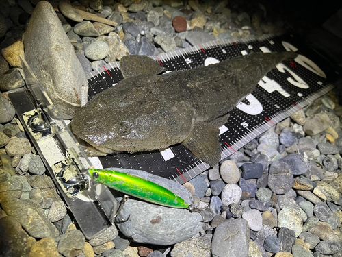 サザンビーチ付近