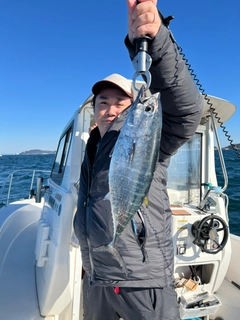 メバチマグロの釣果