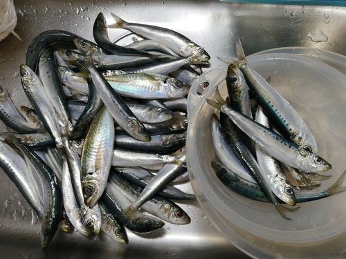 小名浜港アクアマリンふくしま周辺