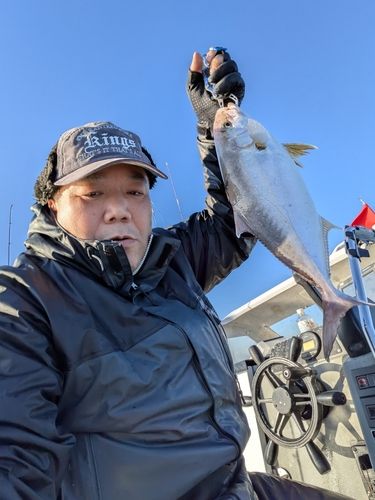 ショゴの釣果