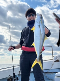 ヒラマサの釣果