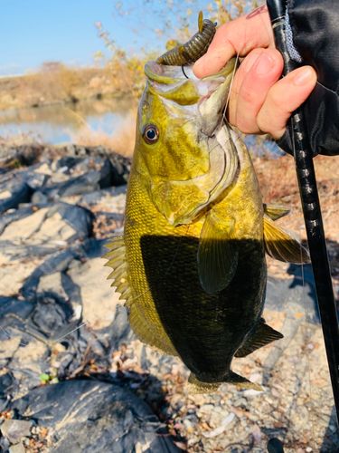 淀川天野川合流